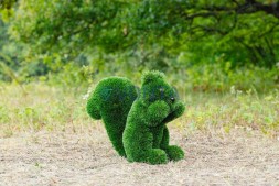 Топиари белочка Малышка — газон Deluxe