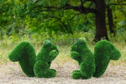 Топиари белочка Малышка — газон Deluxe