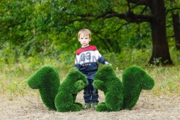 Топиари белочка Малышка — газон Deluxe