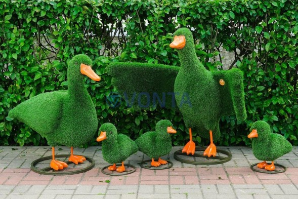 Топиари композиция утки — газон Eco