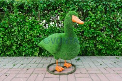 Топиари композиция утки — газон Eco