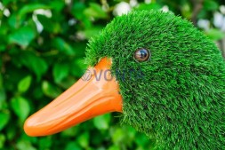 Топиари композиция утки — газон Eco