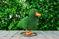 Топиари композиция утки — газон Eco