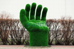 Топиари ладонь Ария — газон Deluxe