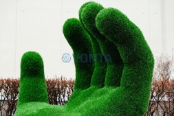 Топиари ладонь Ария — газон Deluxe