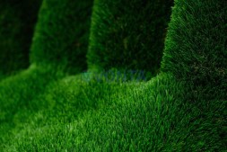 Топиари ладонь Ария — газон Deluxe