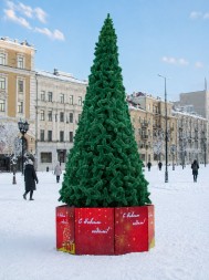 Уличная ствольная сосна «Альпийская» 5,5 м