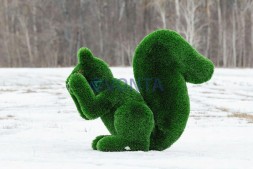 Топиари белочка Ку-ку, h = 85 см — газон Deluxe