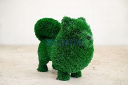 Топиари собака шпиц, h= 45см — газон Deluxe Green