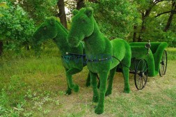 Топиари композиция карета с лошадьми — газон Deluxe