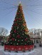 Уличная каркасная елка «Уральская» 7 м