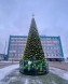 Уличная каркасная елка «Уральская» 7 м