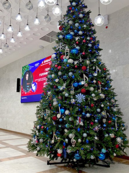 Ель «Швейцарская» - 3 м