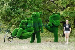 Топиари композиция бригада Хрю, модель 2 — газон Eco