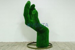 Топиари ладонь Ария — газон Eco