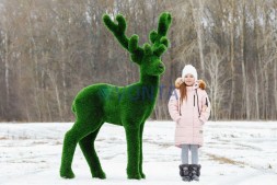 Топиари олень Козинак, самец — газон Deluxe Green