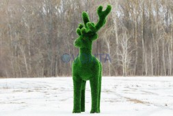 Топиари олень Козинак, самец — газон Deluxe Green