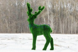 Топиари олень Козинак, самец — газон Deluxe Green