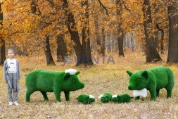Топиари композиция семья свинок Хрюшевиц — газон Eco