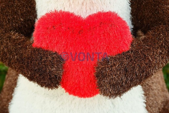 Топиари композиция бобры — газон Eco