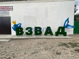 Топиари композиция буквы ВЗВАД — газон Eco
