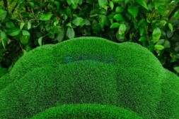 Топиари черепаха Леонардо — газон Eco