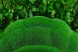 Топиари черепаха Леонардо — газон Eco