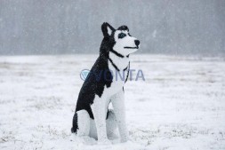 Топиари композиция собака хаски Бреста и лисичка Красотка — газон Eco