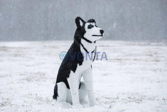 Топиари композиция собака хаски Бреста и лисичка Красотка — газон Eco