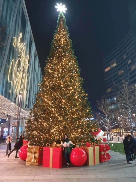 Ель ствольная «Альпийская» - 9 м