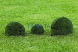 Топиари композиция ежики, 3 шт — газон Eco