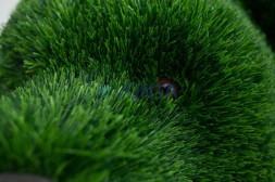 Топиари медведь Муни — газон Deluxe Green
