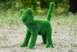 Топиари кошка Малышка — газон Eco