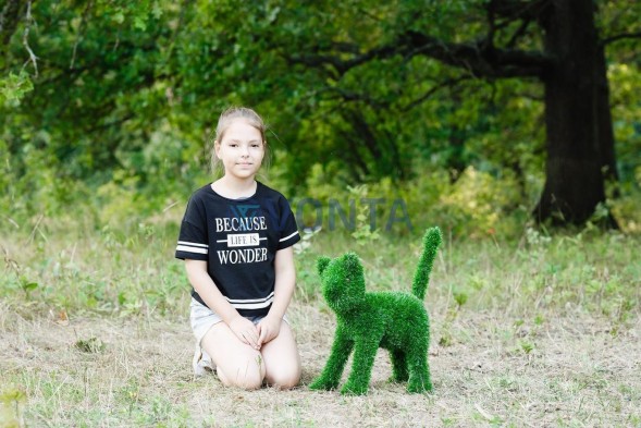 Топиари кошка Малышка — газон Eco