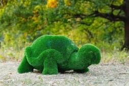 Топиари черепаха с кашпо, Мантра — газон Eco