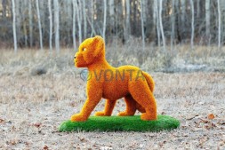 Топиари композиция лев с птичкой, кабан Валери и львенок оранжевый — газон Deluxe + Eco