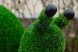 Топиари улитка садовая, h=70 см- газон Eco+