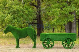 Топиари композиция конь Багги с телегой — газон Deluxe + Eco