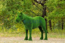 Топиари композиция конь Багги с телегой — газон Deluxe + Eco