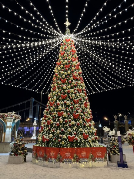 Ель каркасная «Уральская» - 14 м