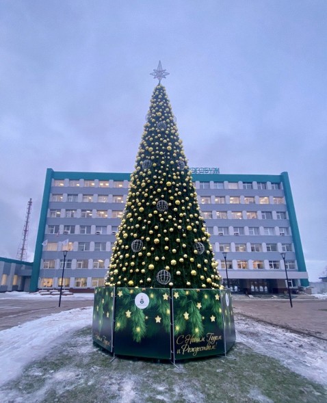 Ель каркасная «Уральская» - 14 м