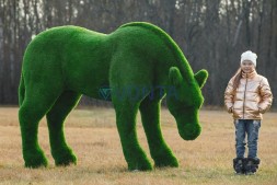 Топиари лошадь, Марта — газон Premium