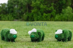 Топиари композиция поросята, детвора, 3 шт — газон Eco
