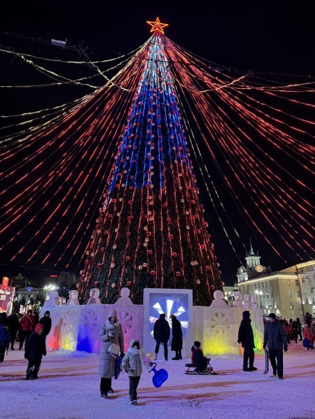 Ель каркасная «Уральская» - 15 м