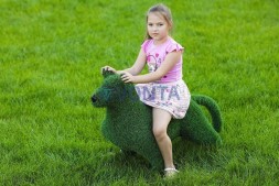 Топиари собака бультерьер — газон Eco