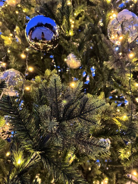 Ель ствольная «Альпийская Сказочная» - 6 м