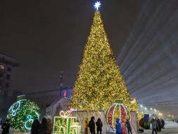 Ель ствольная «Светодинамическая Альпийская» - 17 м