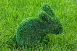 Топиари зайчик Гримм — газон Eco