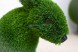 Топиари зайчик Гримм — газон Eco
