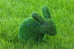 Топиари зайчик Гримм — газон Eco
